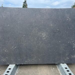 Belgian Fossil - 250042