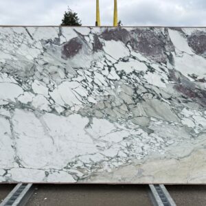 Breccia Capraia - 2101